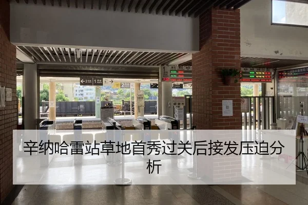 辛纳哈雷站草地首秀过关后接发压迫分析 - Kaiyuan